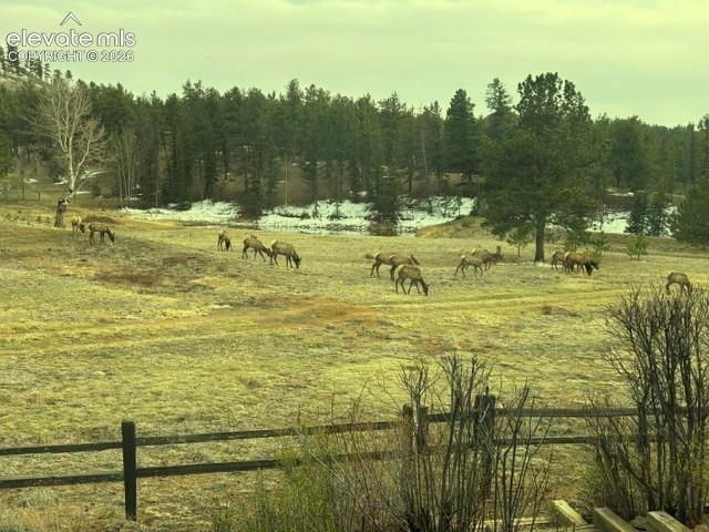 146 Toms Ranch Rd, Lake George, CO 80827