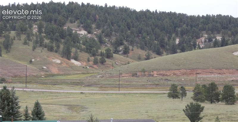 149 Will Scarlet Dr, Divide, CO 80814