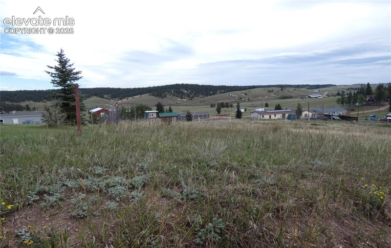 149 Will Scarlet Dr, Divide, CO 80814