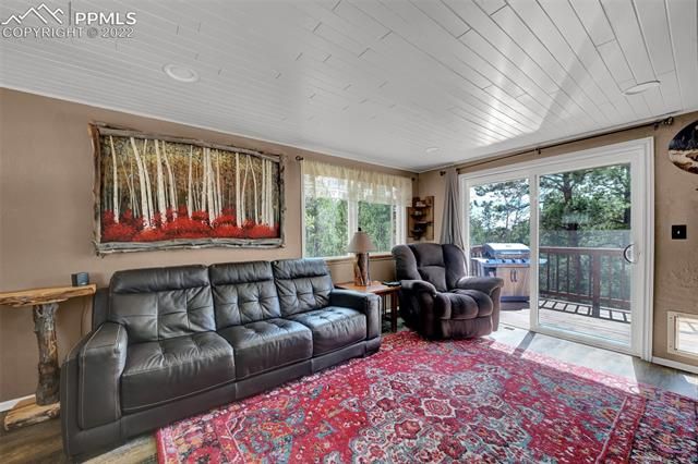 15 Rainbow Ln, Divide, CO 80814