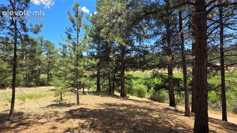 15394 Westcreek Rd, Woodland Park, CO 80863