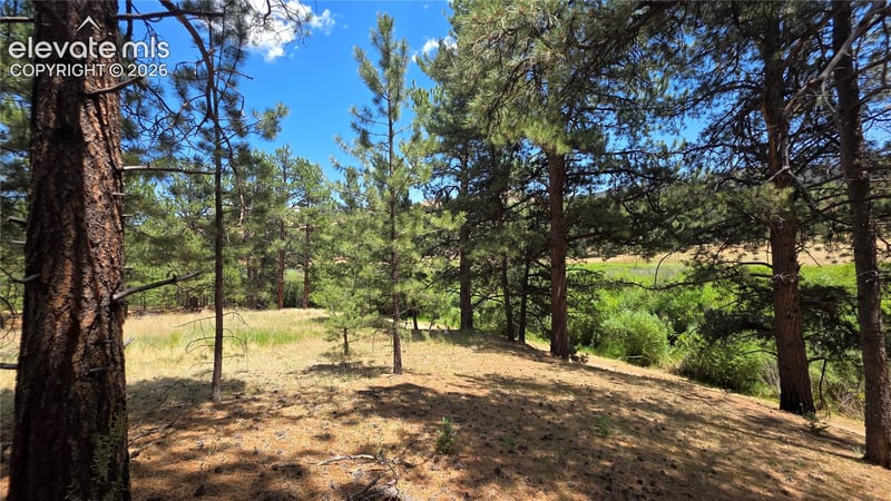 15394 Westcreek Rd, Woodland Park, CO 80863