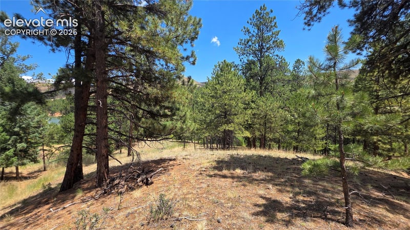 15394 Westcreek Rd, Woodland Park, CO 80863
