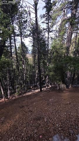 157 Gitchigoomee Trl, Woodland Park, CO 80863