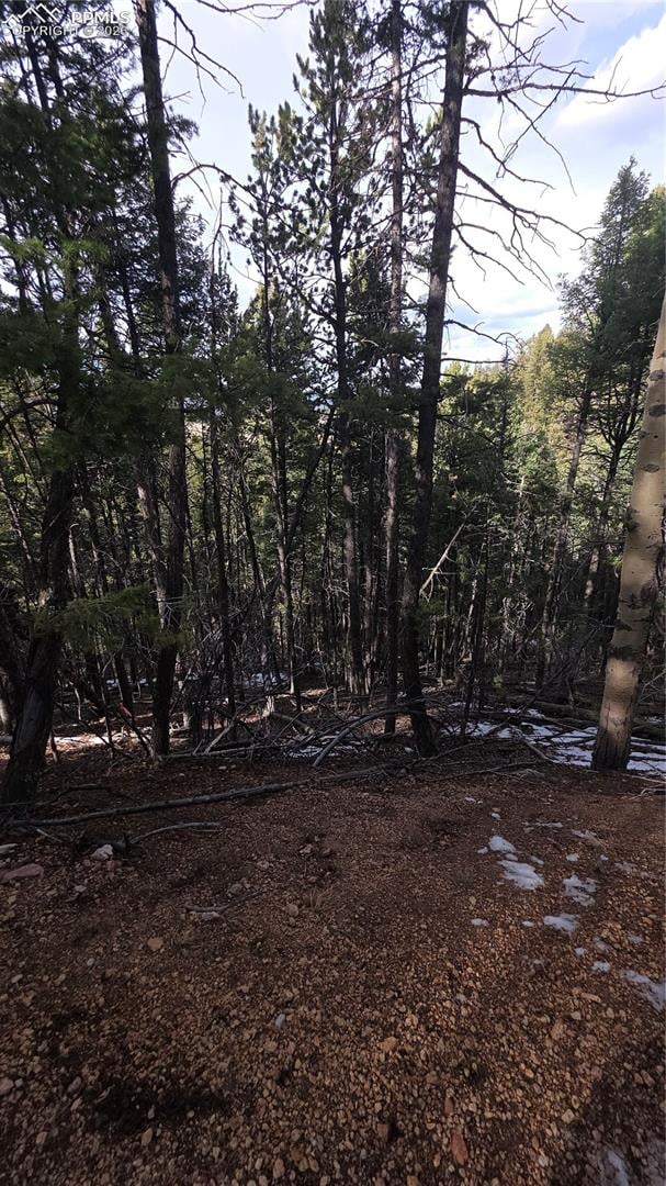 157 Gitchigoomee Trl, Woodland Park, CO 80863