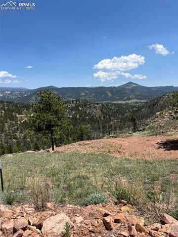 160 Chateau West Dr, Florissant, CO 80816