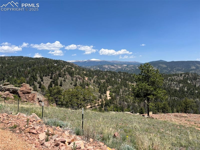 160 Chateau West Dr, Florissant, CO 80816