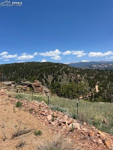 160 Chateau West Dr, Florissant, CO 80816