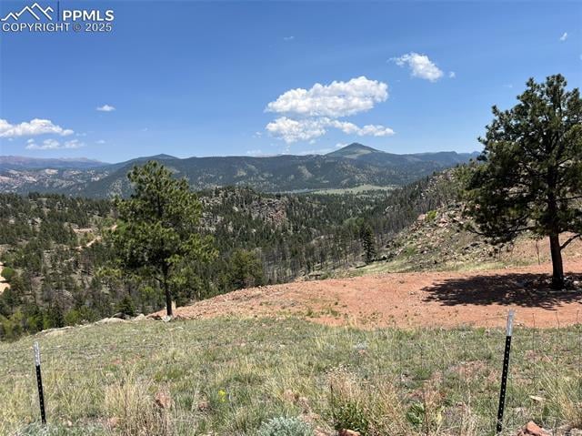 160 Chateau West Dr, Florissant, CO 80816