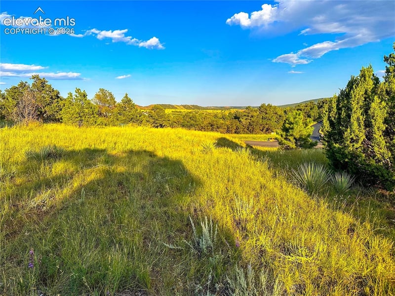 16116 Cala Rojo Dr, Colorado Springs, CO 80926