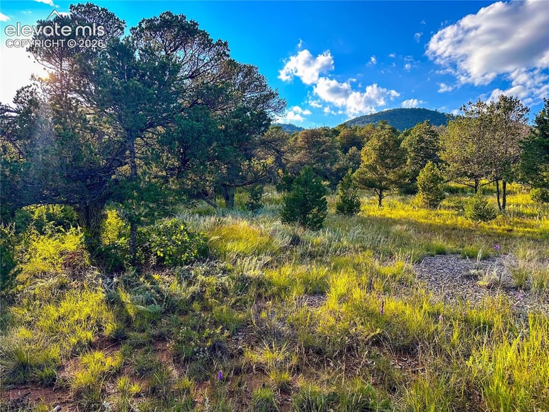 16116 Cala Rojo Dr, Colorado Springs, CO 80926