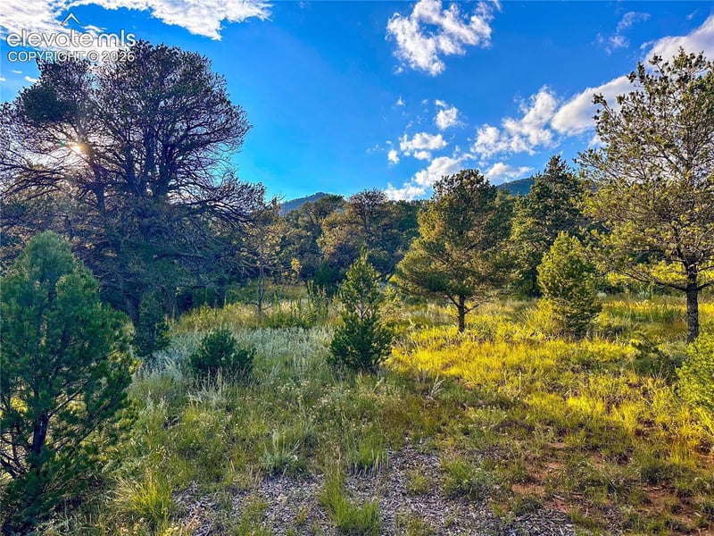 16116 Cala Rojo Dr, Colorado Springs, CO 80926