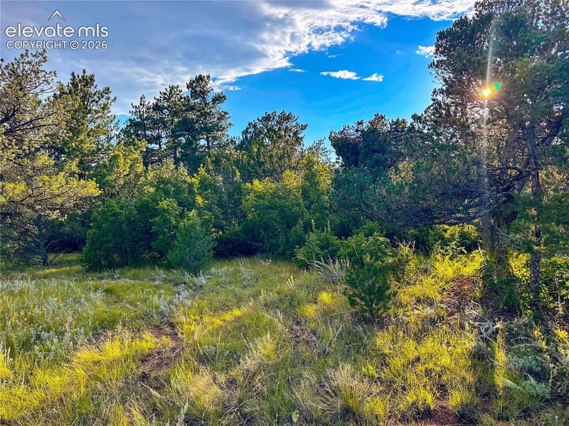 16116 Cala Rojo Dr, Colorado Springs, CO 80926
