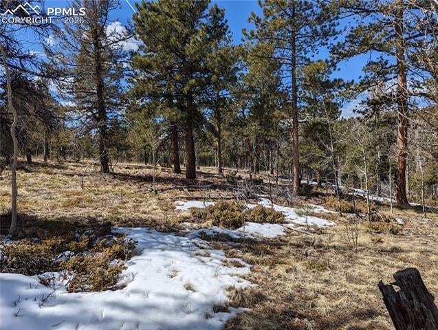 1620 Park Ridge Dr, Guffey, CO 80820