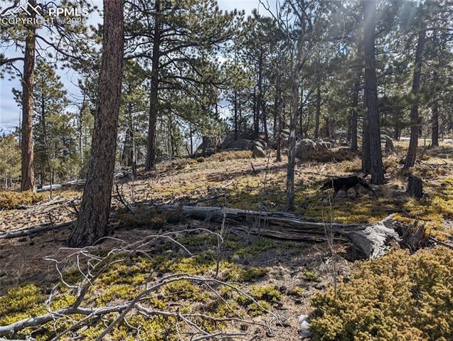 1620 Park Ridge Dr, Guffey, CO 80820