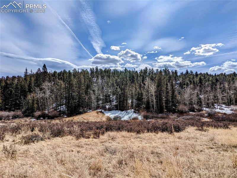 1620 Park Ridge Dr, Guffey, CO 80820
