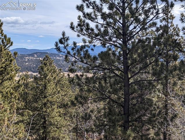 1620 Park Ridge Dr, Guffey, CO 80820