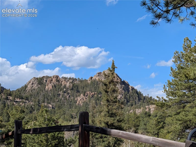 163 Cutthroat Dr, Lake George, CO 80827