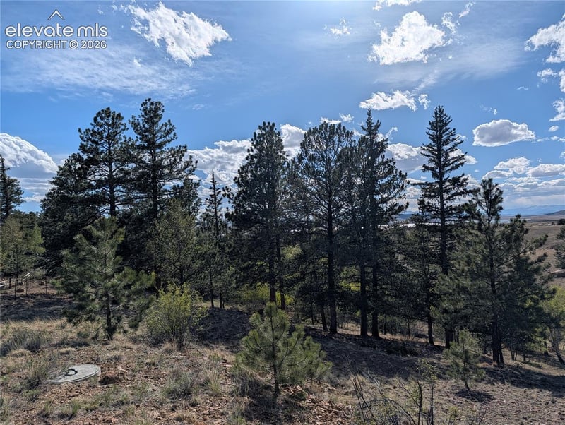 163 Cutthroat Dr, Lake George, CO 80827