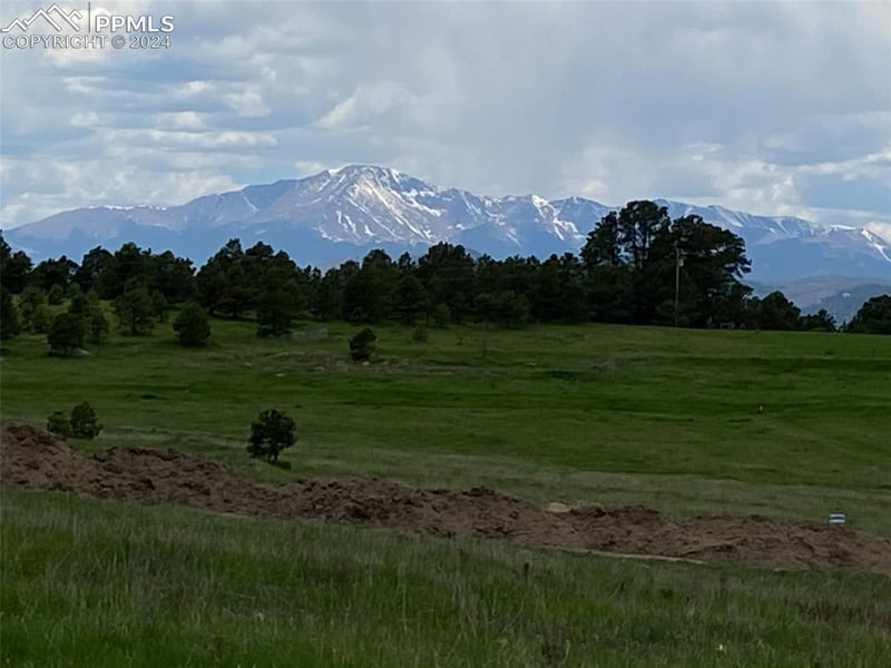 16395 Cherry Crossing Dr, Colorado Springs, CO 80921