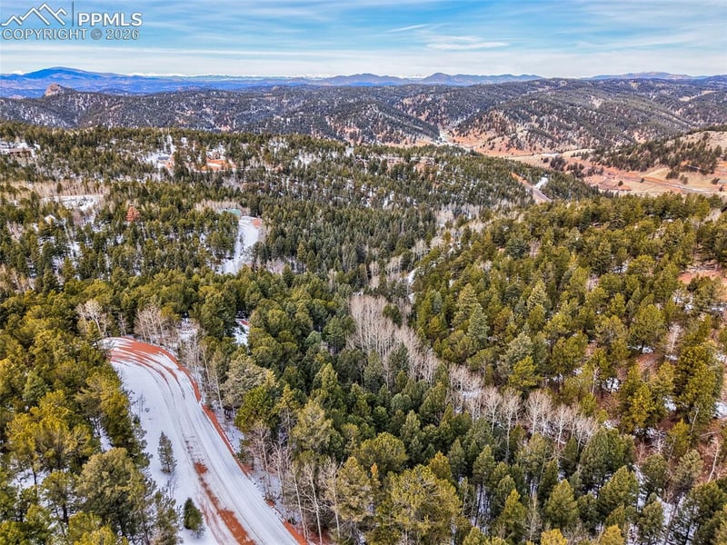 165 Witherite Dr, Divide, CO 80814