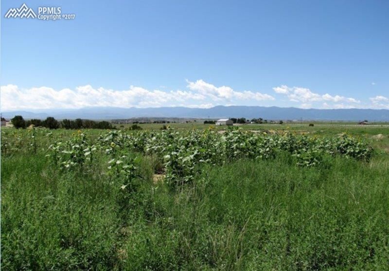 1653 Top Notch Trl, Penrose, CO 81240