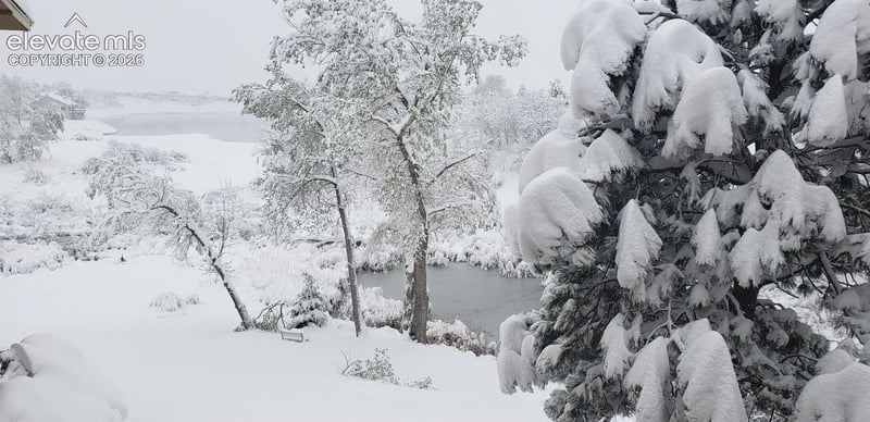 1660 Deer Creek Rd, Monument, CO 80132