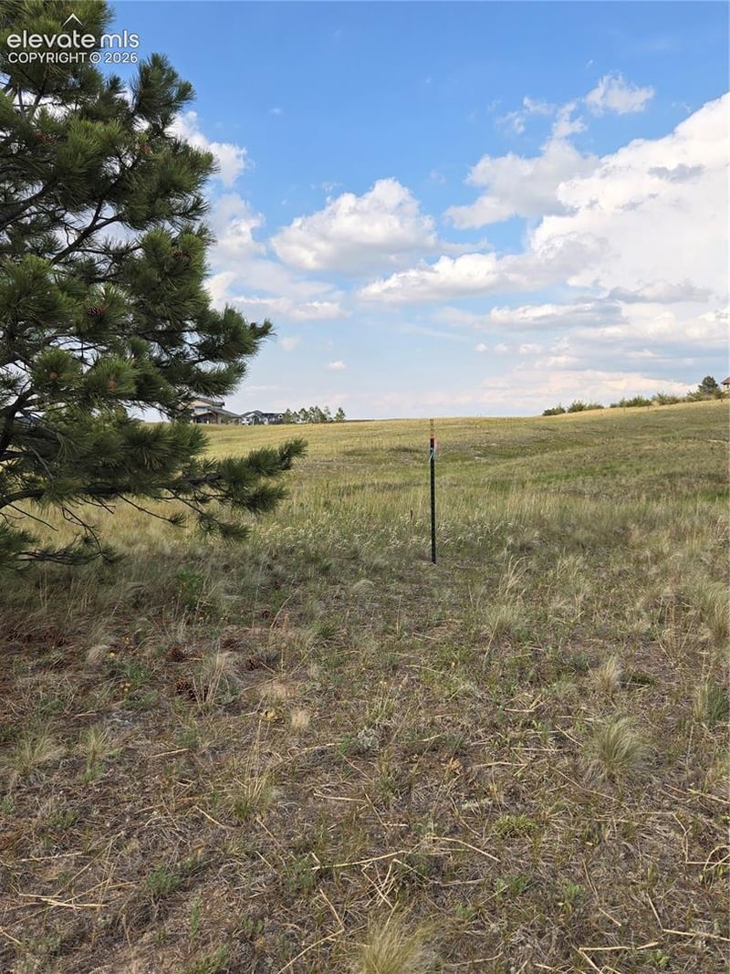 16655 Boundary Basin Ct, Colorado Springs, CO 80908