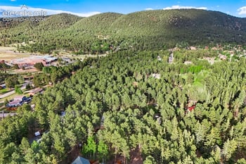 167 E Kelleys Rd, Woodland Park, CO 80863