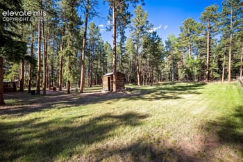 167 E Kelleys Rd, Woodland Park, CO 80863