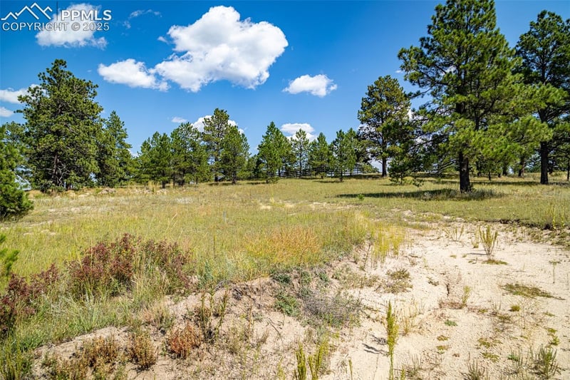 16759 Winsome Way, Colorado Springs, CO 80908