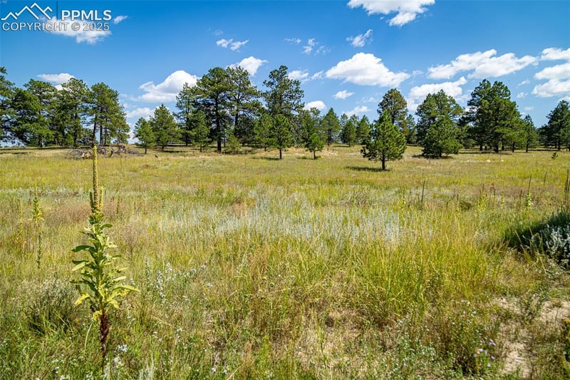 16759 Winsome Way, Colorado Springs, CO 80908