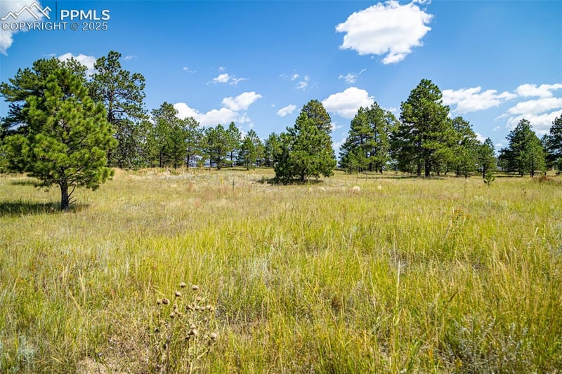16759 Winsome Way, Colorado Springs, CO 80908