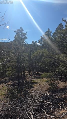 169 Osoeola Rd, Woodland Park, CO 80863