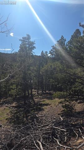 169 Osoeola Rd, Woodland Park, CO 80863