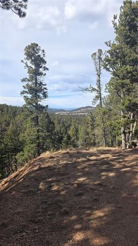 169 Osoeola Rd, Woodland Park, CO 80863