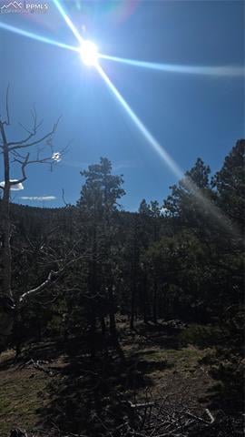 169 Osoeola Rd, Woodland Park, CO 80863