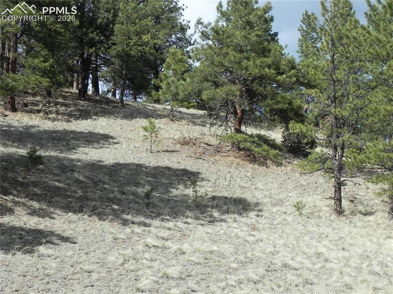1699 Monarch Dr, Cripple Creek, CO 80813