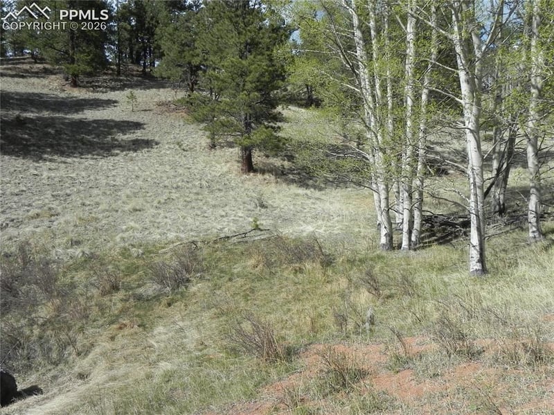 1699 Monarch Dr, Cripple Creek, CO 80813
