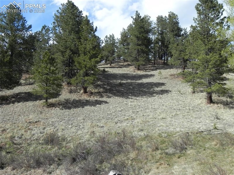 1699 Monarch Dr, Cripple Creek, CO 80813