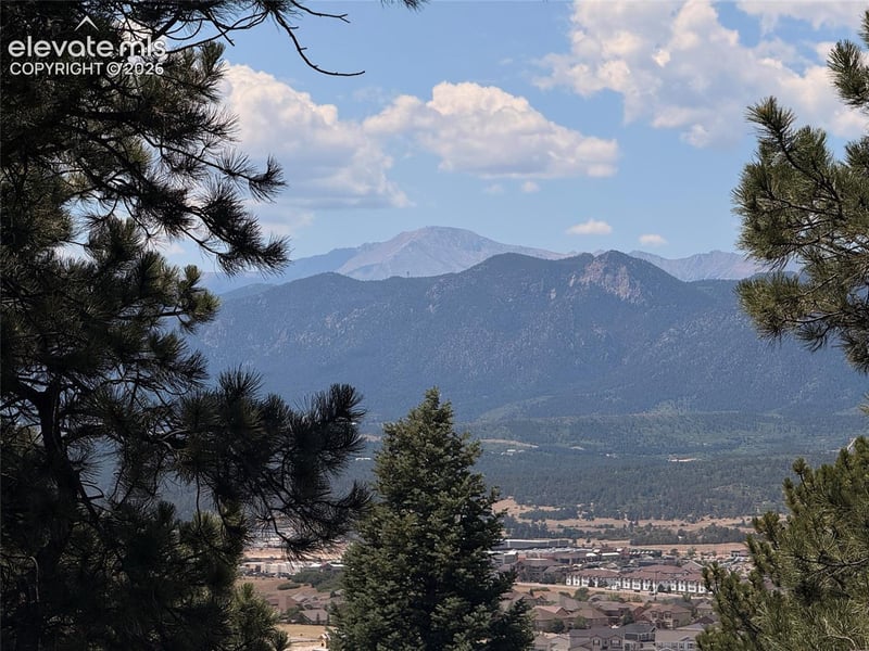17215 Fairplay Dr, Monument, CO 80132
