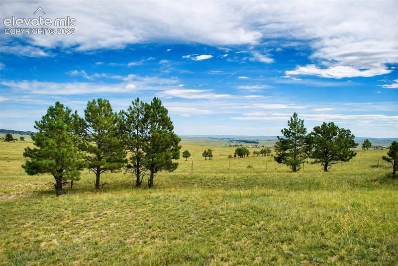 17265 Warriors Path Dr, Peyton, CO 80831