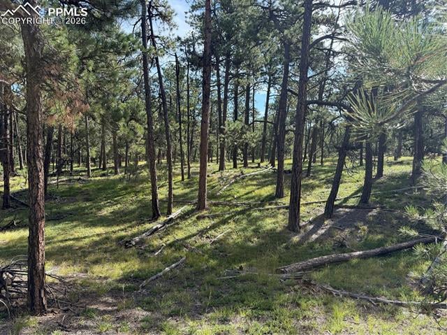 17405 E Goshawk Rd, Colorado Springs, CO 80908