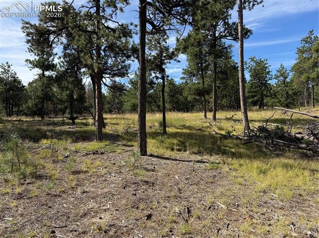 17405 E Goshawk Rd, Colorado Springs, CO 80908
