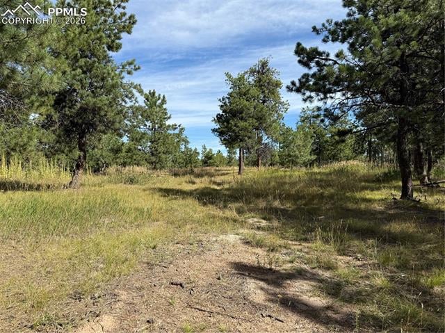 17405 E Goshawk Rd, Colorado Springs, CO 80908