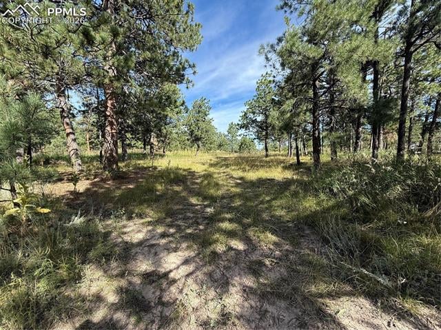17405 E Goshawk Rd, Colorado Springs, CO 80908