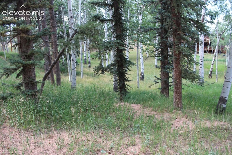 175 Club Dr, Woodland Park, CO 80863