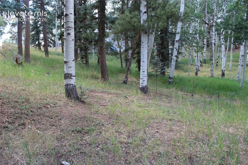 175 Club Dr, Woodland Park, CO 80863