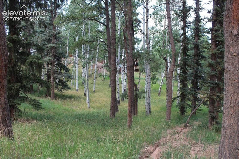 175 Club Dr, Woodland Park, CO 80863