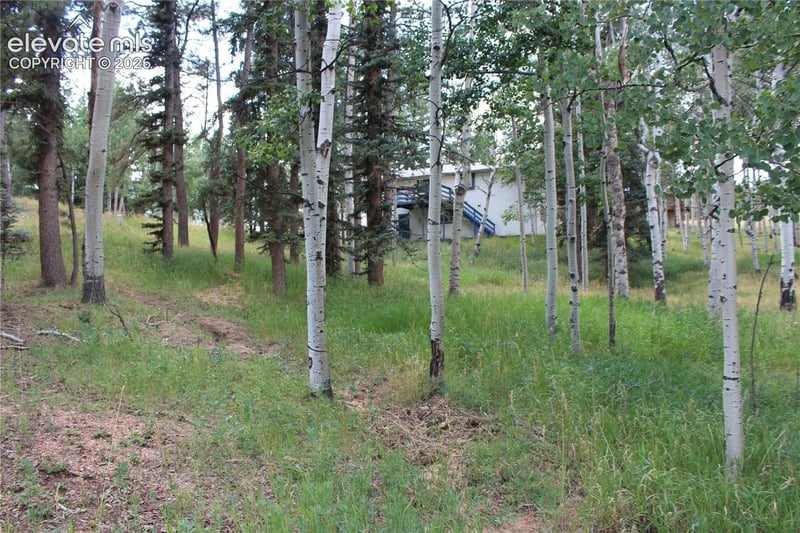 175 Club Dr, Woodland Park, CO 80863